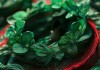 红色 emerald 花环，企业文化中的小图案之美