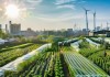 慈溪，智慧农业与绿色能源管理与商业新机遇
